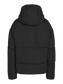 pack_shot-back