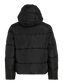 pack_shot-back