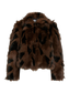 pack_shot-front