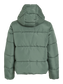 pack_shot-back
